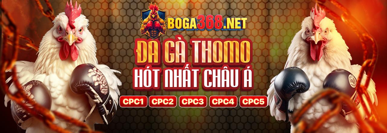 Tận dụng các chương trình khuyến mãi