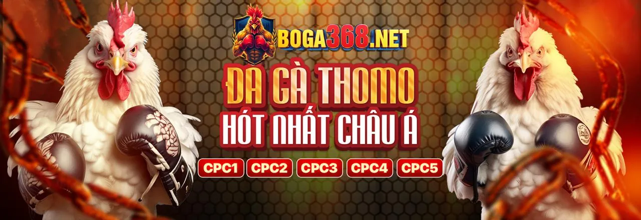 Tận dụng các chương trình khuyến mãi